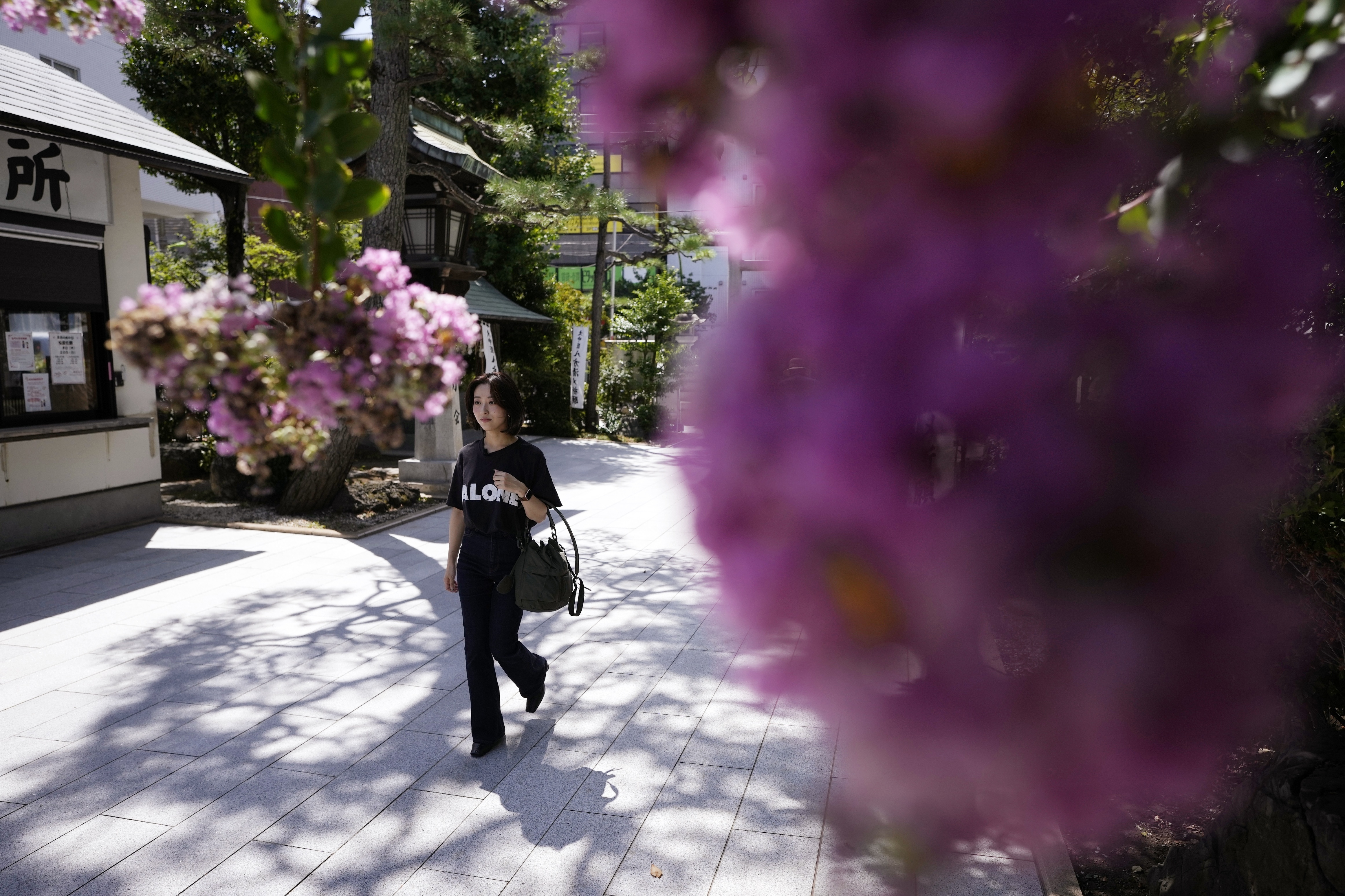 In secular Japan, what draws so many to temples and shrines