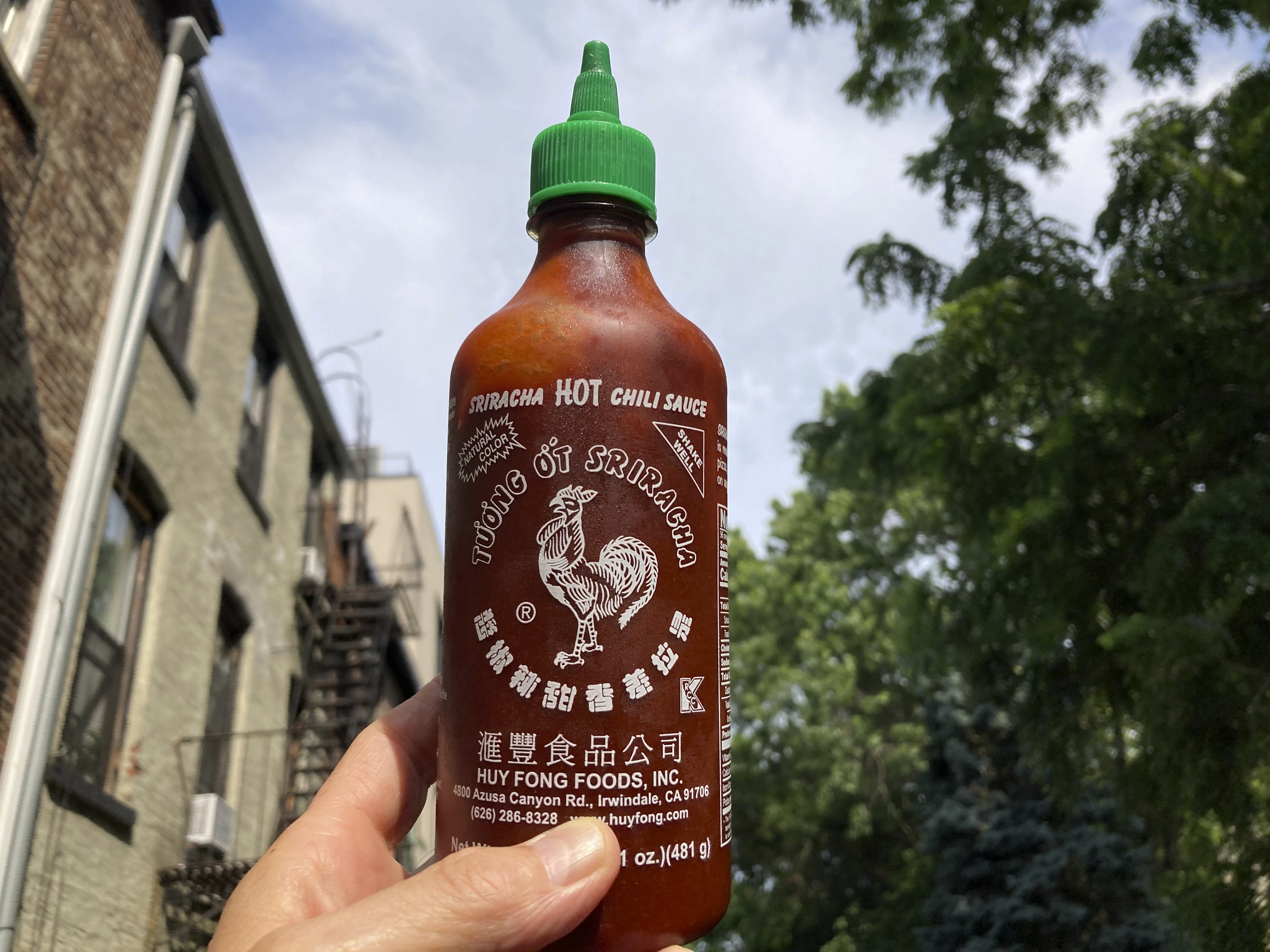 Low-cost Sriracha Discounts