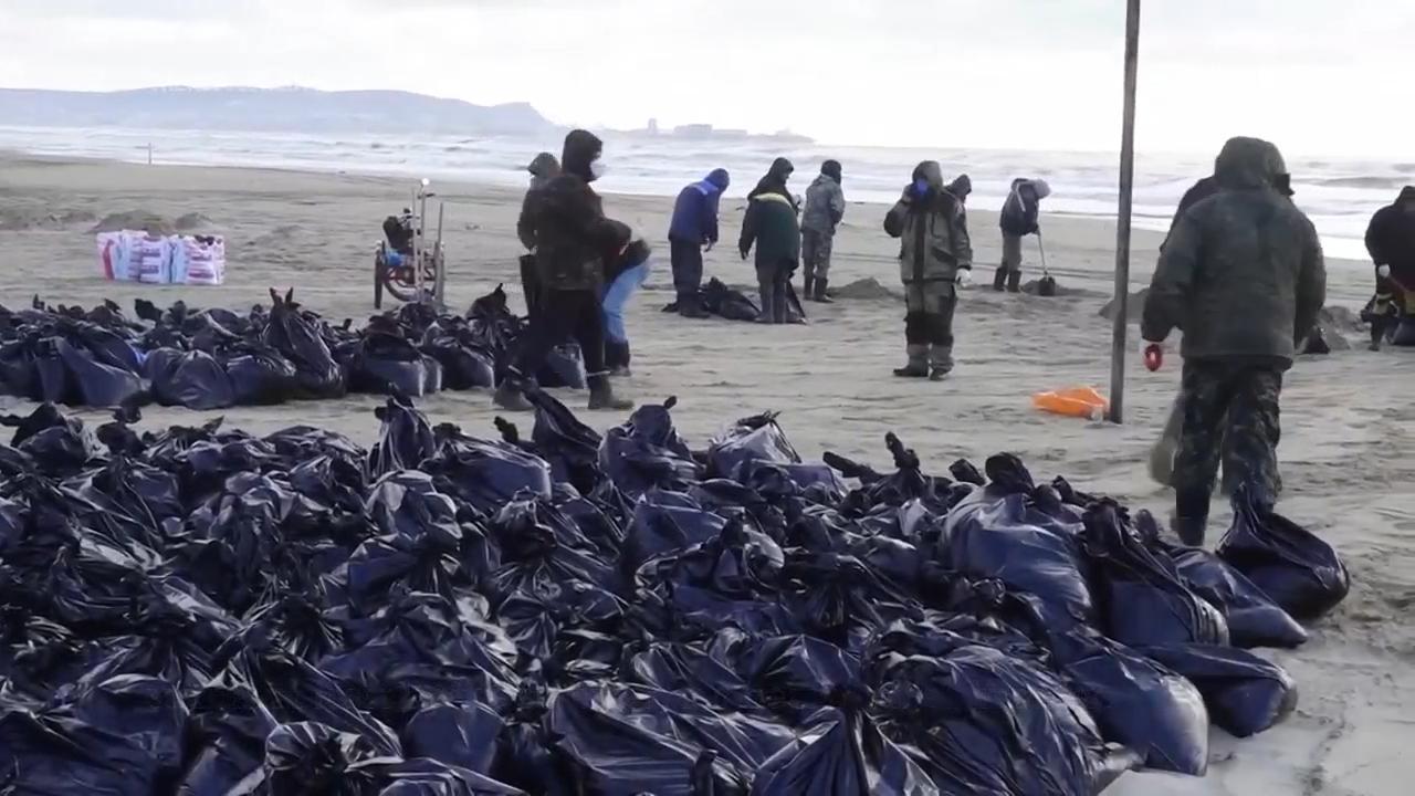 Volunteers continue cleaning coastline after major oil spill in Black Sea