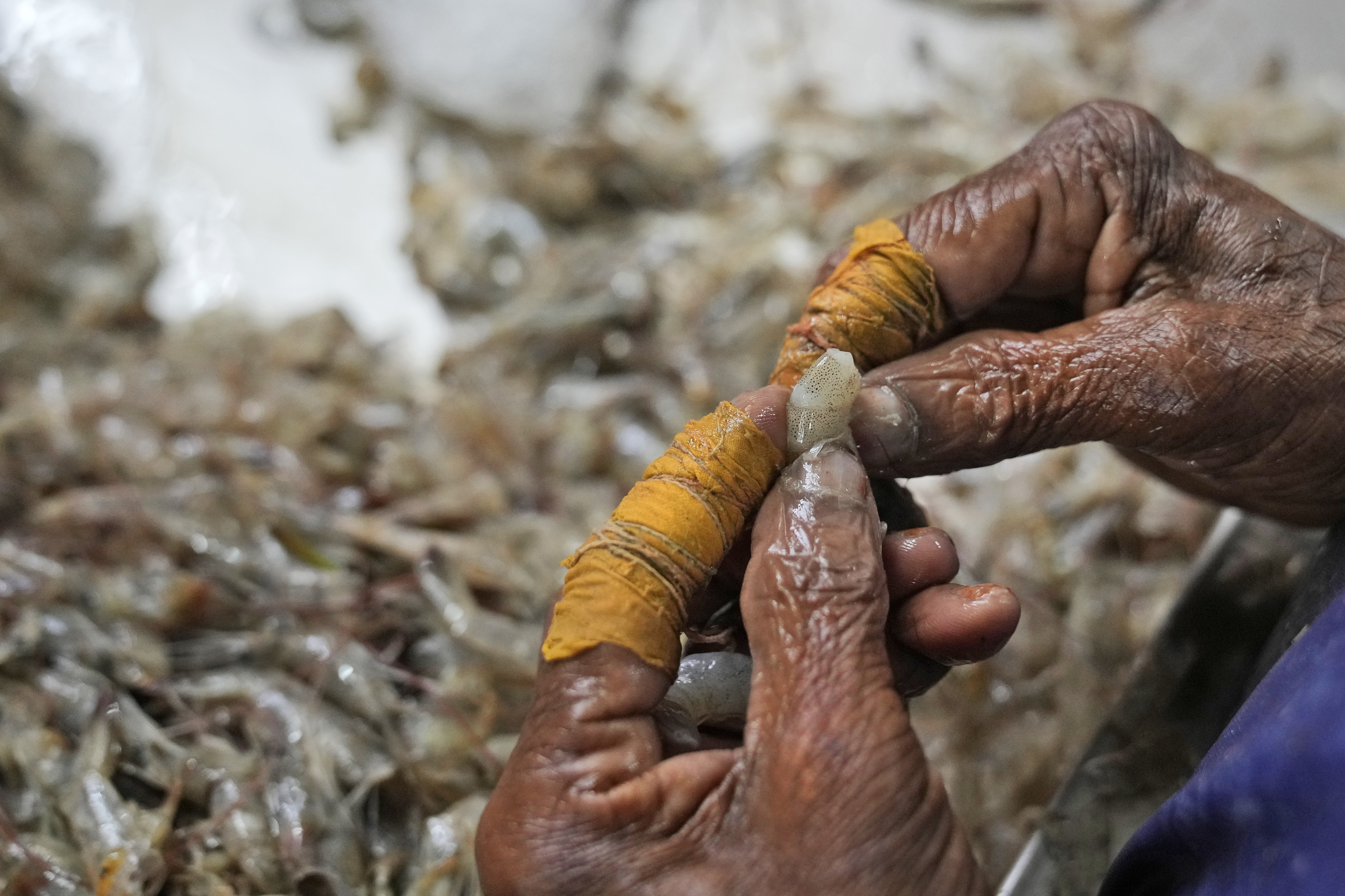 Report calls Indian shrimp industry 'dangerous and abusive