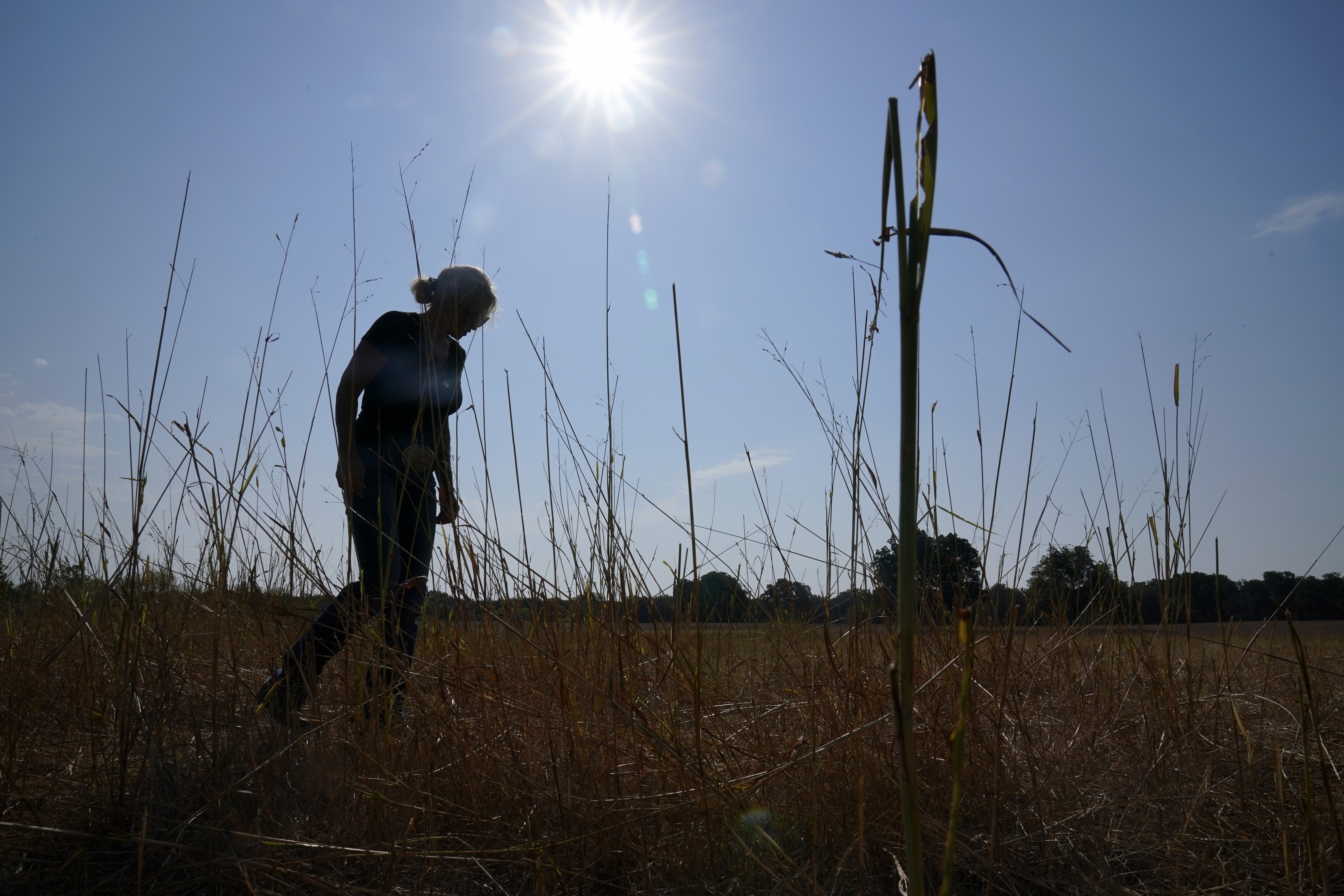 Climate change may force more farmers and ranchers to consider irrigation —  at a steep cost