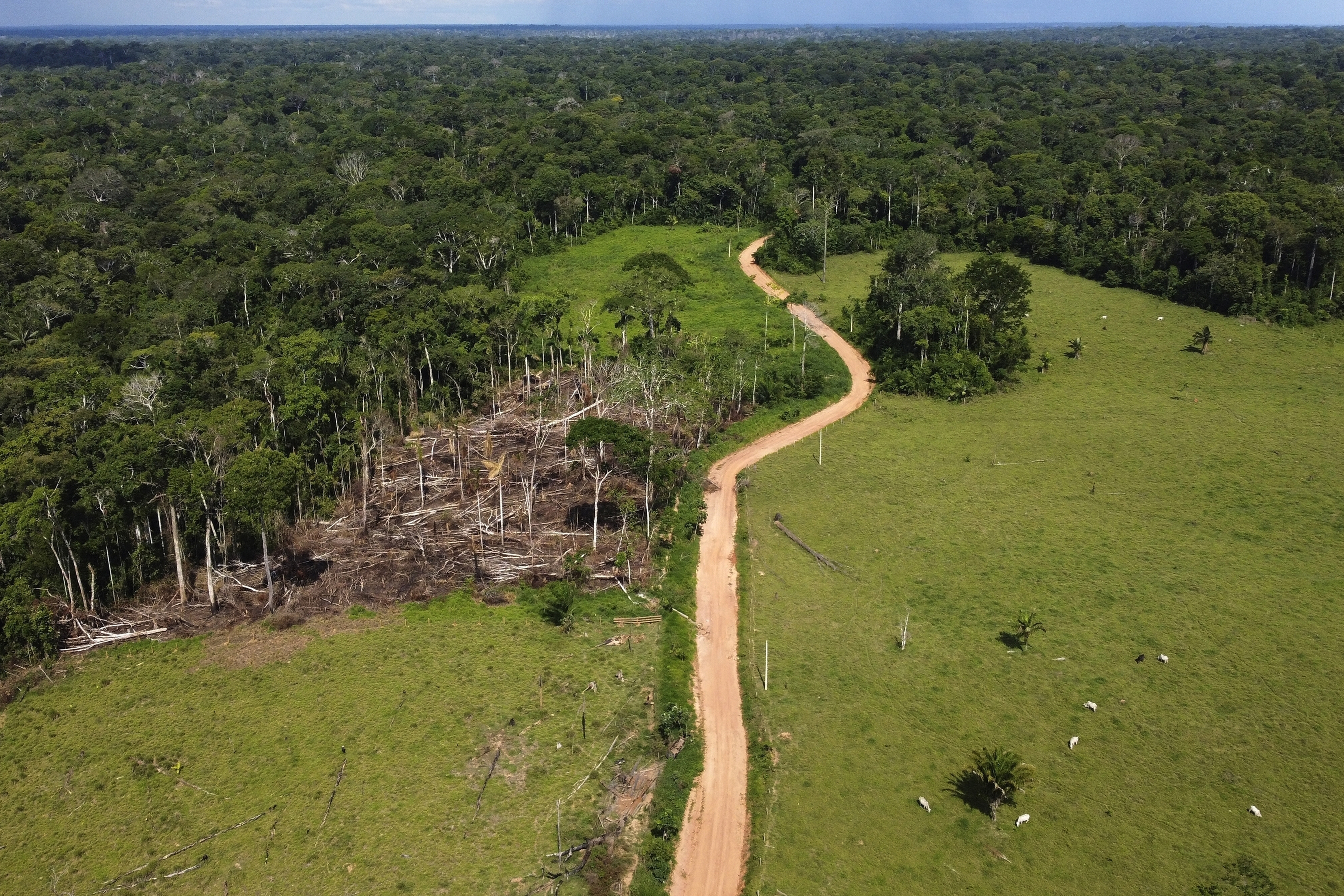 Brazil aerial photos show miners' devastation of indigenous people's land, Global development