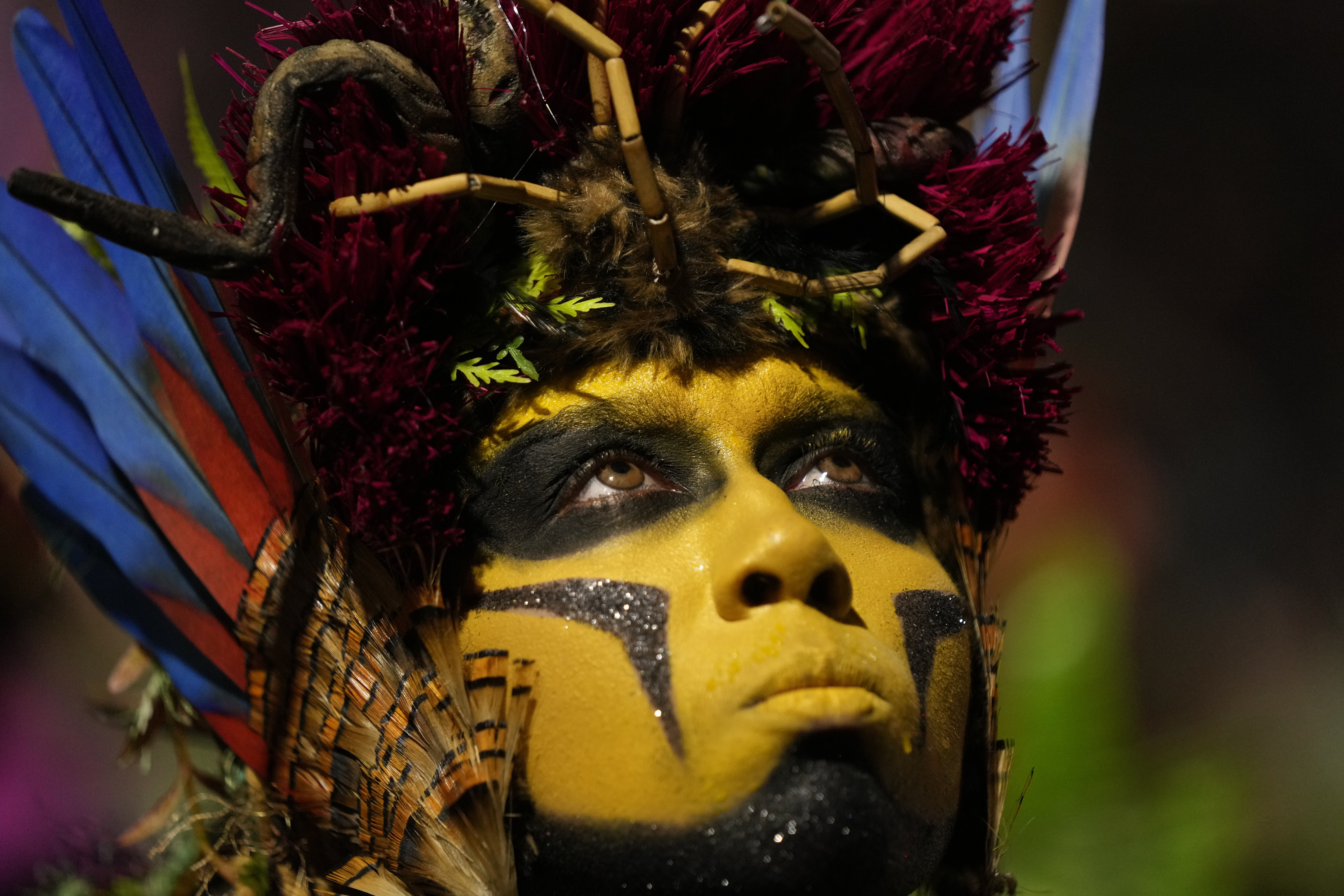 Brazil's Carnival Becoming More 'Politically Correct