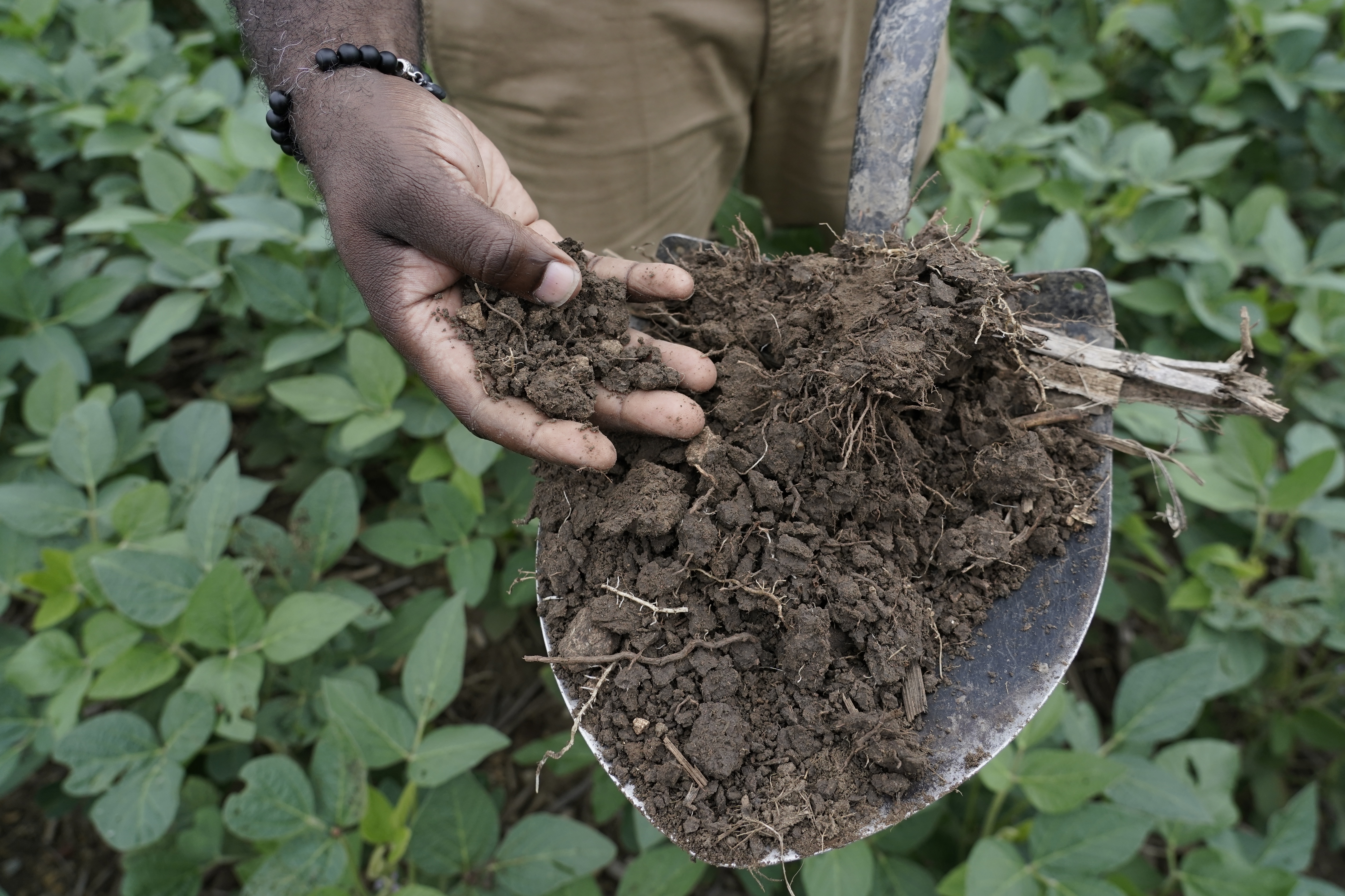 Farm fields don't just feed us. They store carbon. But a big question is  how much