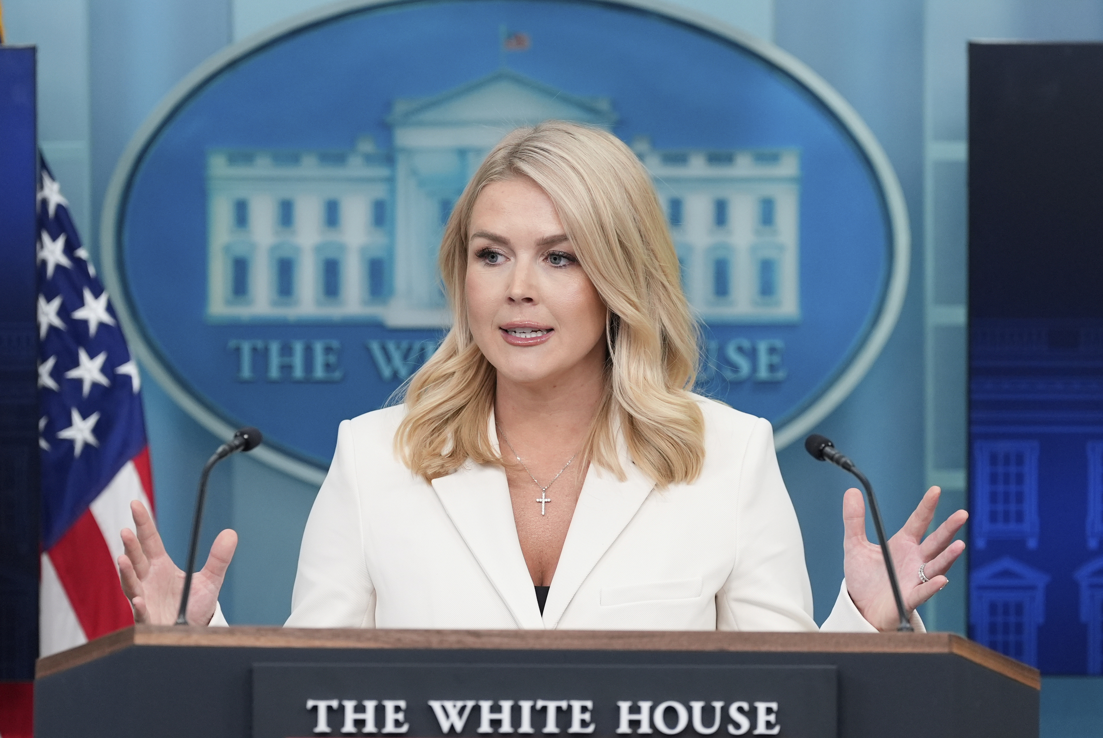 ‘Boys will be boys,’ White House says about feud between Elon Musk and Peter Navarro
