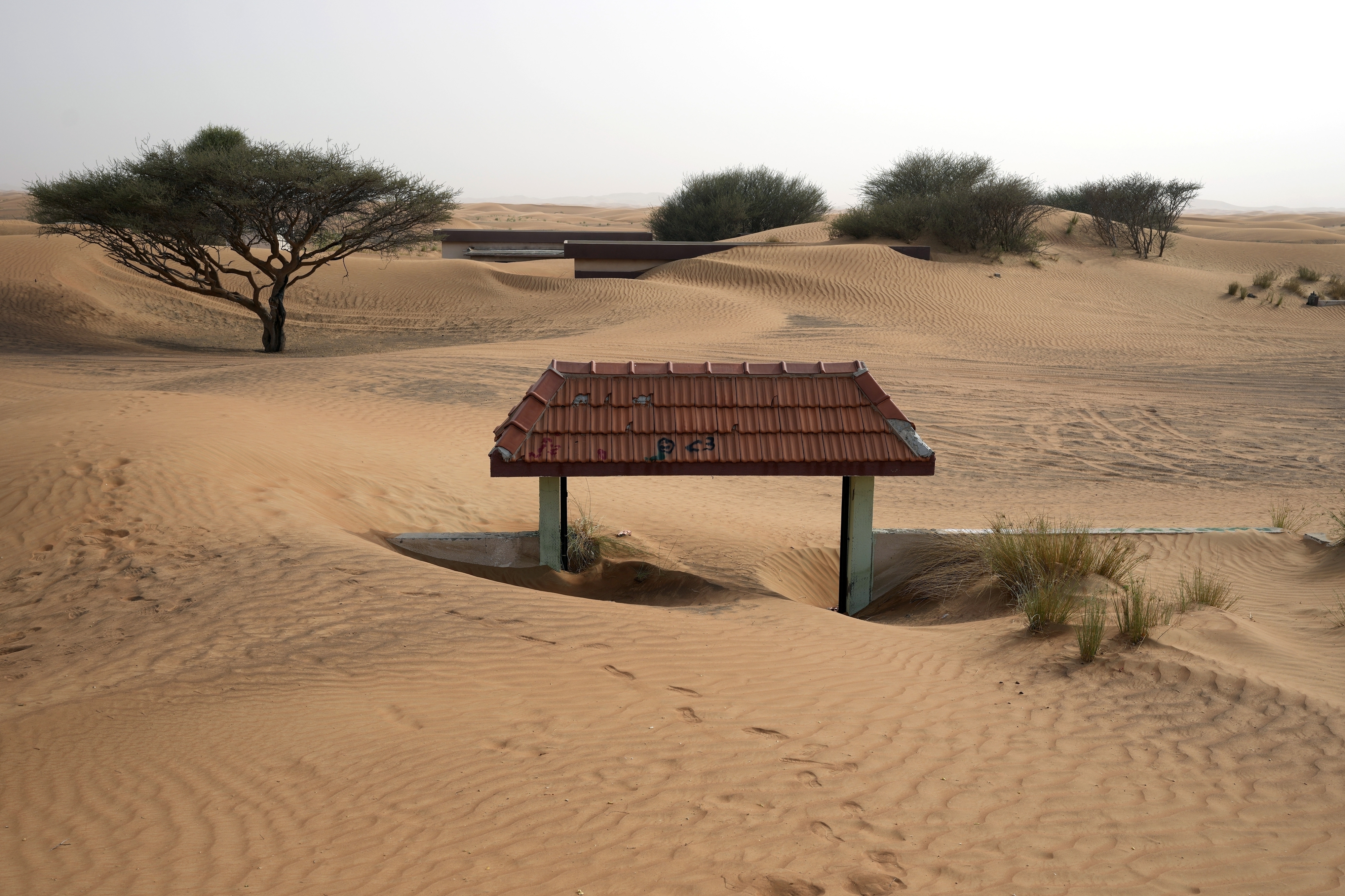 The FASTEST Deserted Desert Farm Guide