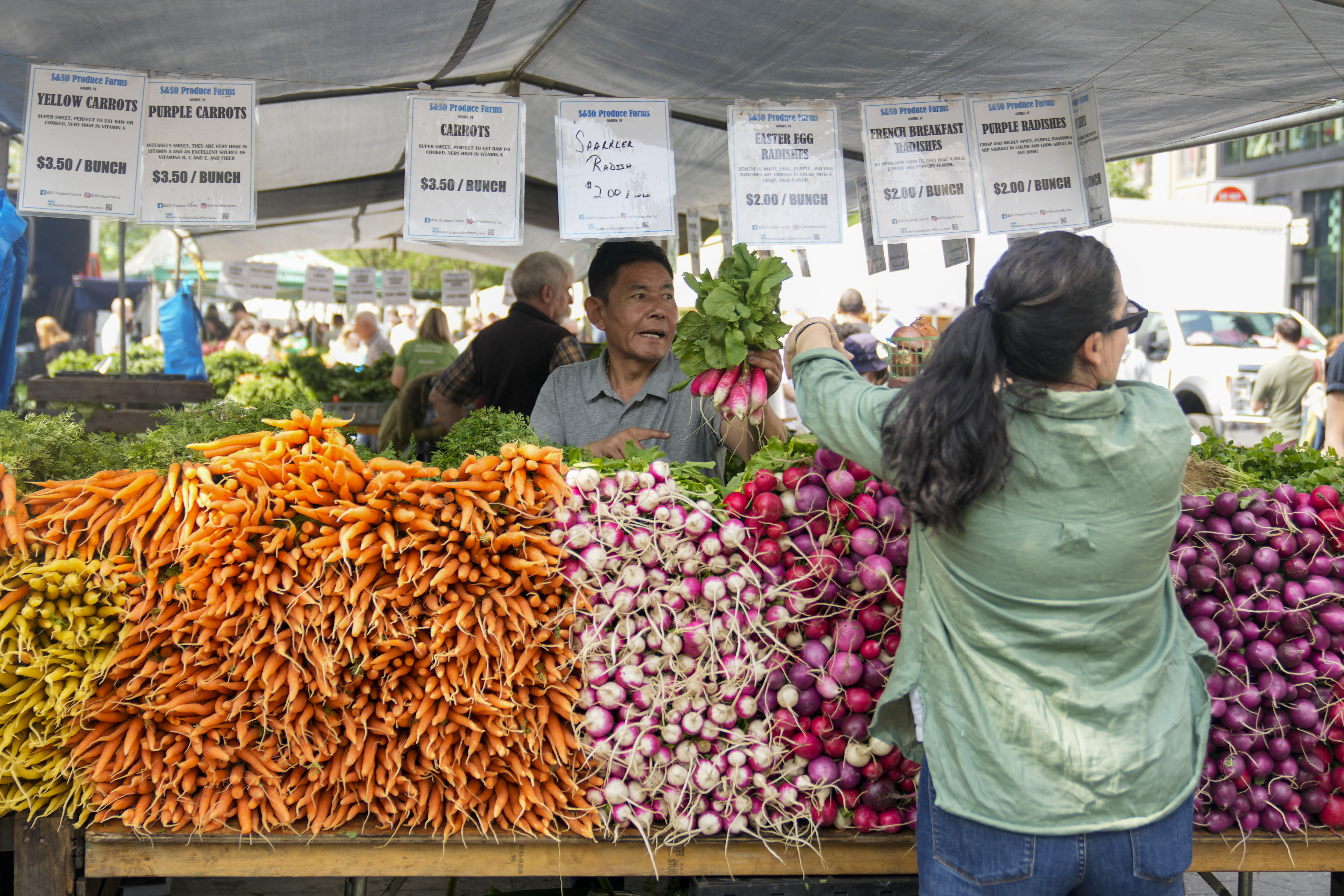 Top Reasons to Visit a Farmers Market This Fall