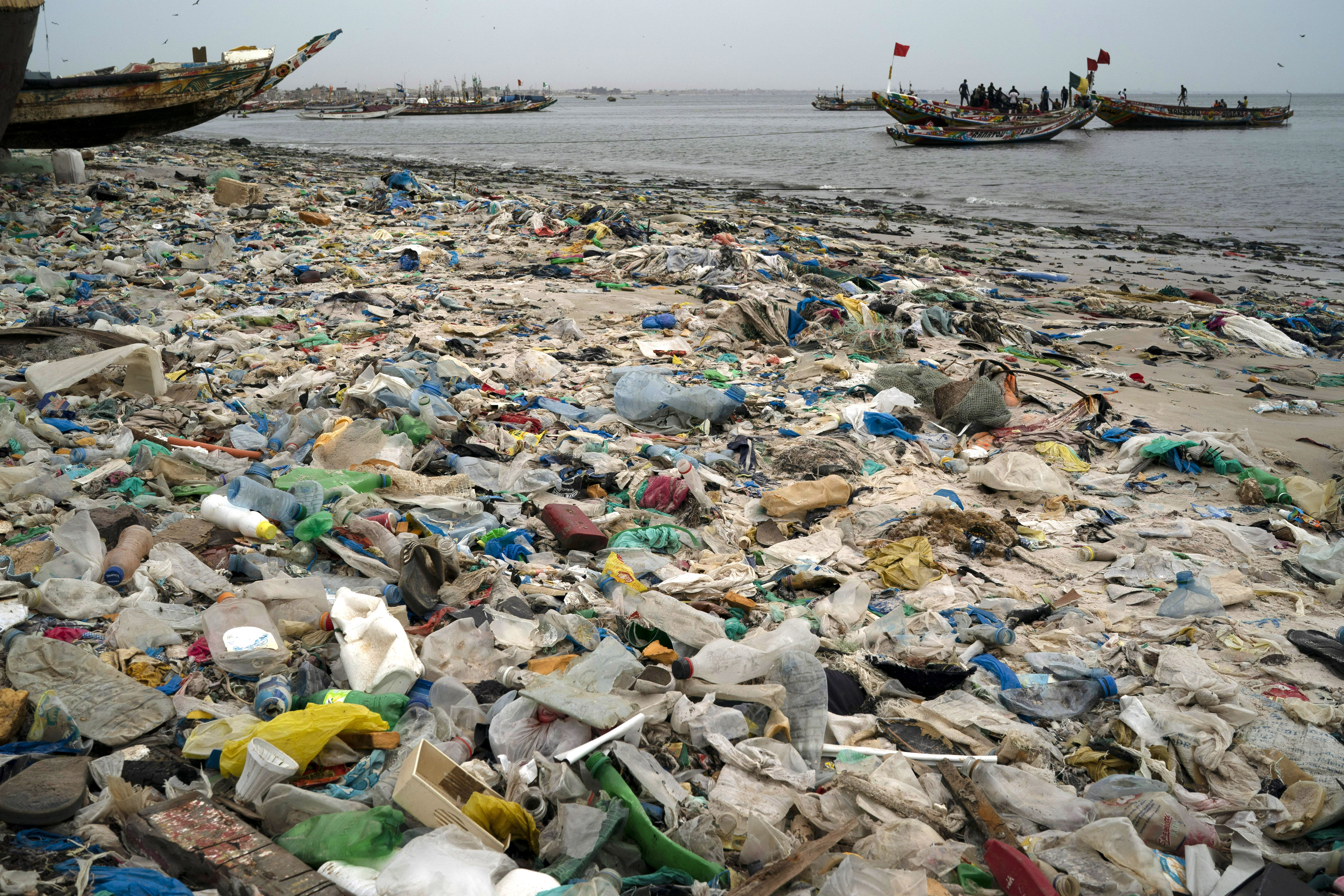 Waste and Pollution Watch Group Makes an Early Plea for a Trash