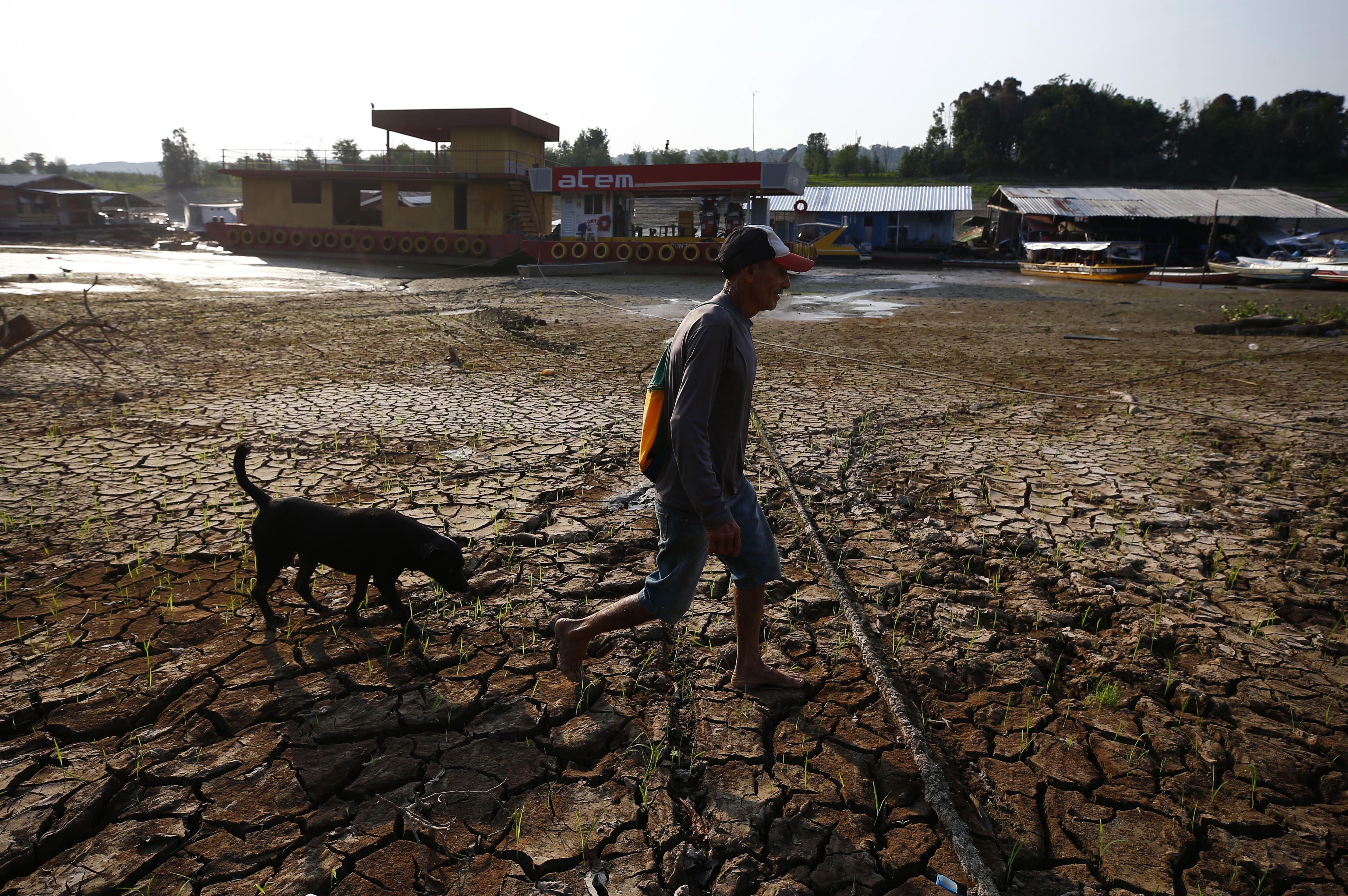 Nagro Dogi Xxx Video - Without water, there is no life': Drought in Brazil's Amazon is sharpening  fears for the future | AP News