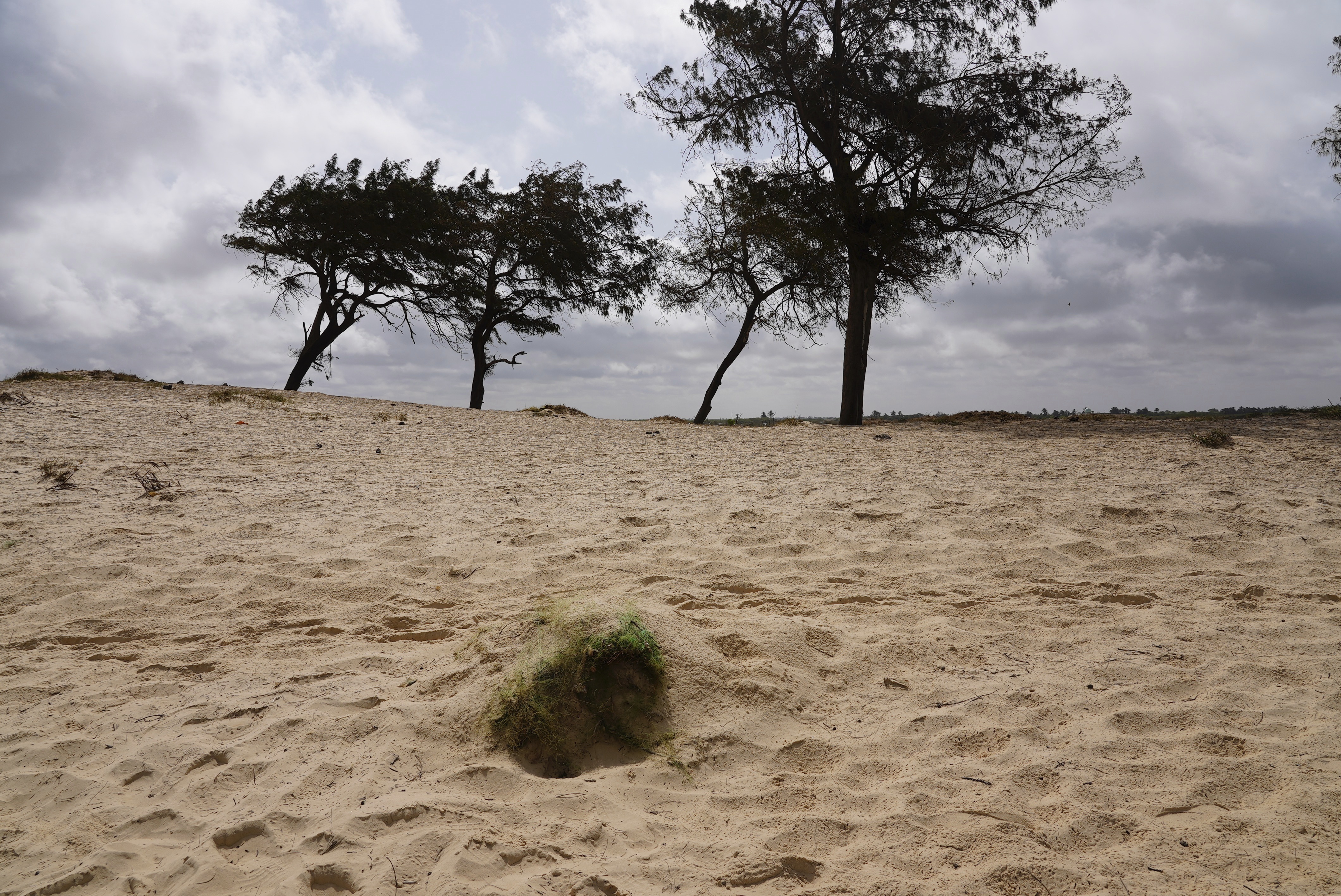 Senegal government struggles to fill climate refugee camp in Saint-Louis 