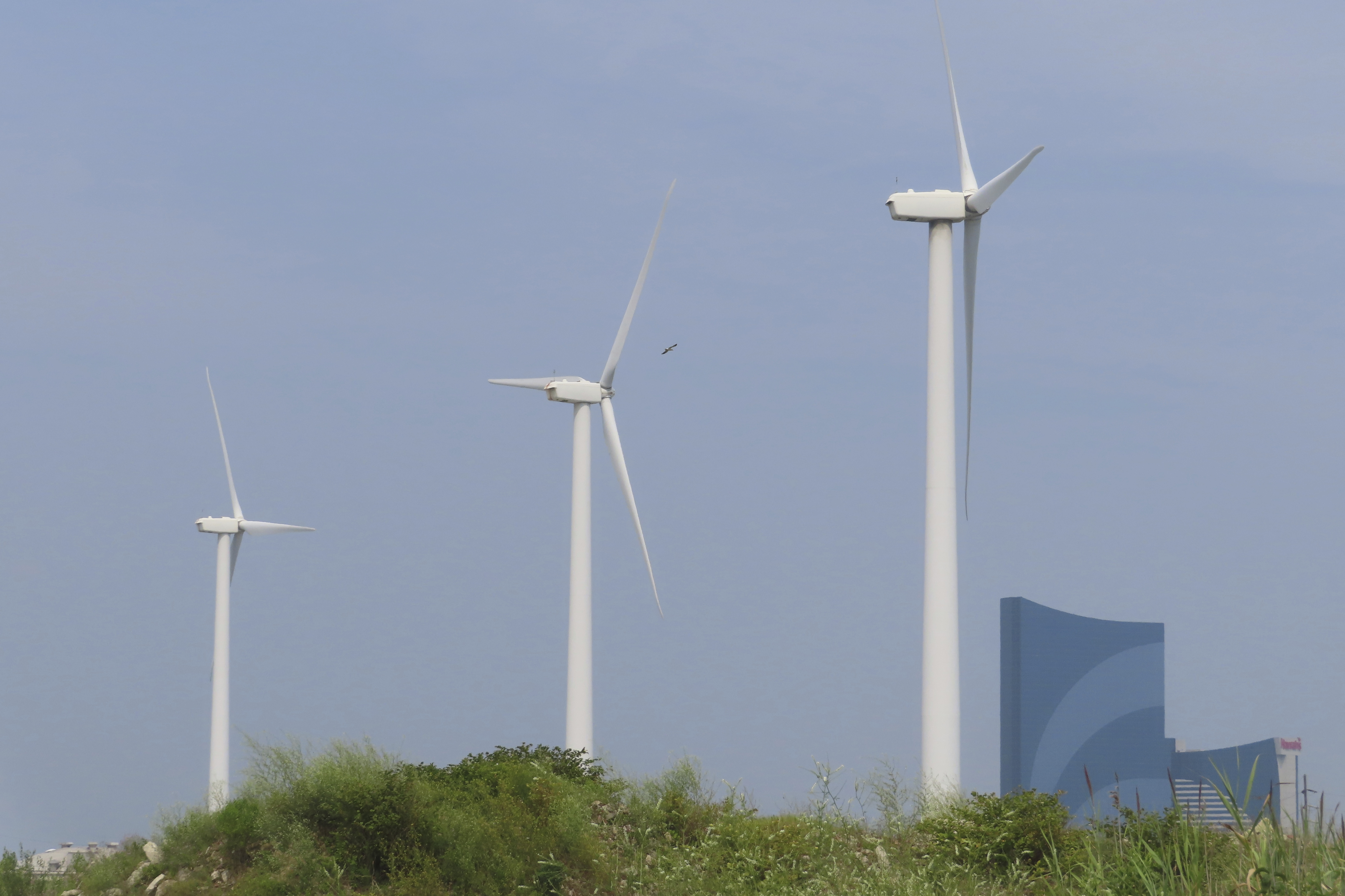 Wind industry deals with blowback from Orsted scrapping 2 wind